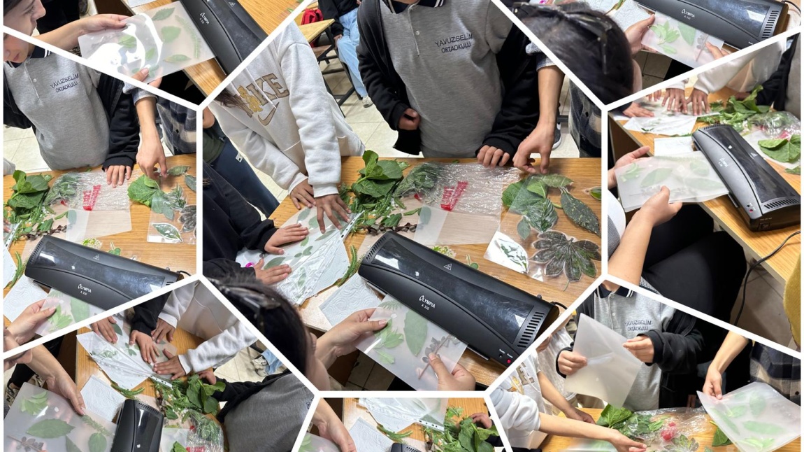 Eco- Detectives projesinde öğrencilerimiz farklı bölgelerdeki yaprakları toplayarak lamine etti.